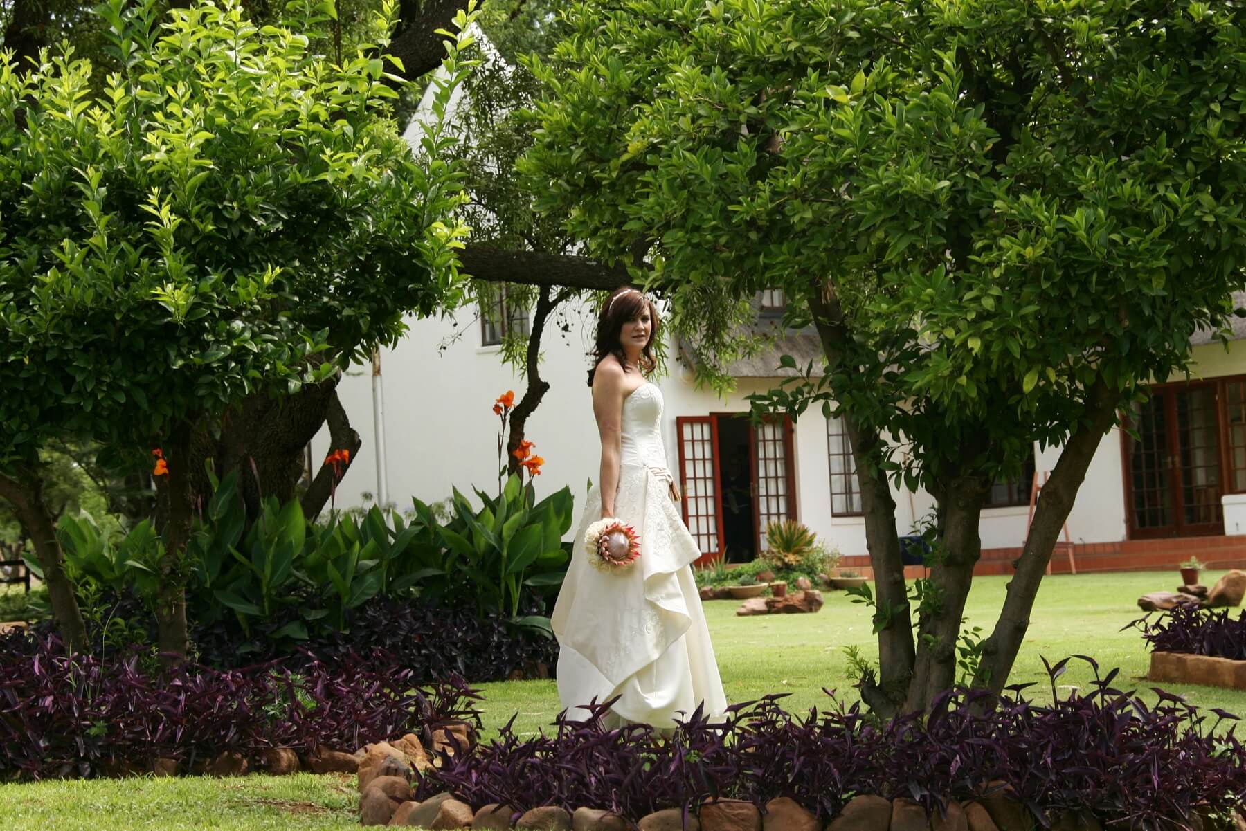 Weddings (8)